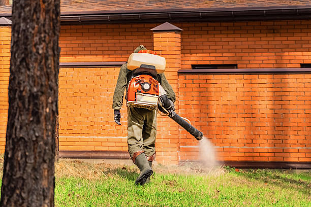 Trusted Ant Control service in Pleasureville, PA - Nex Pest Control